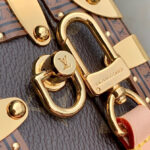 Louis Vuitton Handle Trunk Monogram M11118 Brown